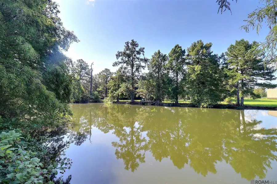39625 Hornsby Rd, Denham Springs, LA 70706 - #3