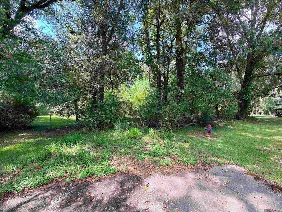Donald St, Denham Springs, LA 70726 - #3
