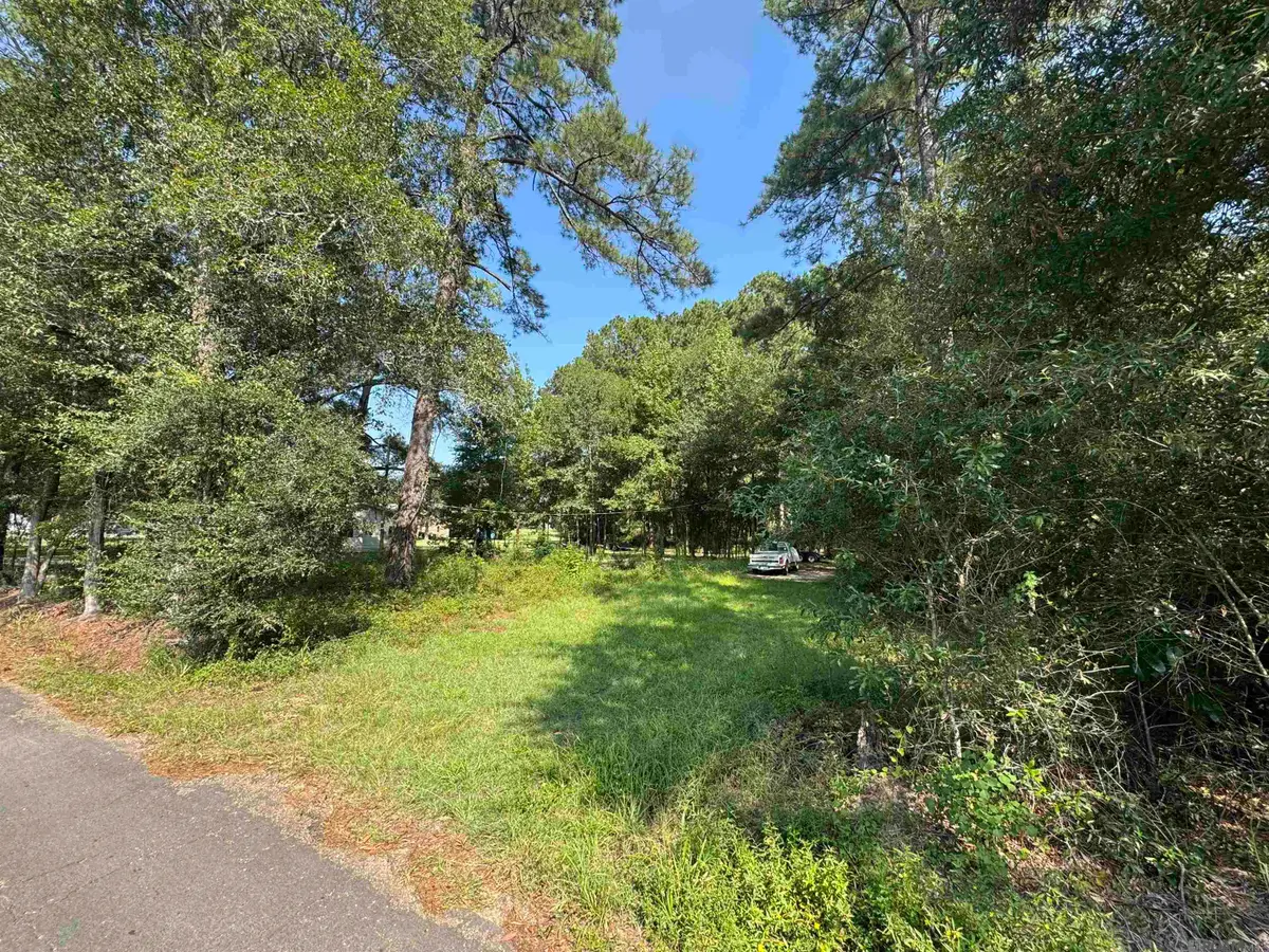 15583 Graziano Ln, Hammond, LA 70401 - #1