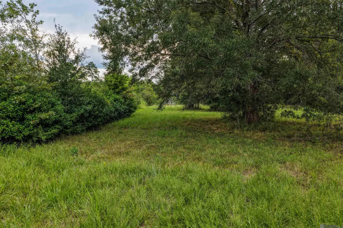 11103 Buddy Ellis Rd, Denham Springs, LA 70726 - #1