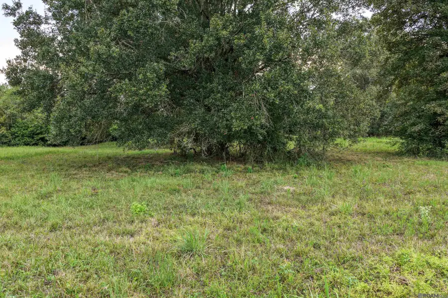 11103 Buddy Ellis Rd, Denham Springs, LA 70726 - #2