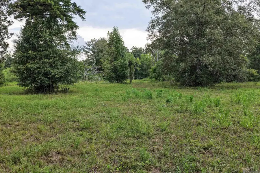 11103 Buddy Ellis Rd, Denham Springs, LA 70726 - #3