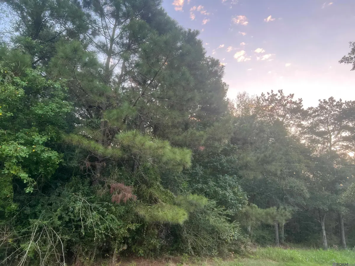 LOT 6-A-2 Hwy 10, Clinton, LA 70722 - #1