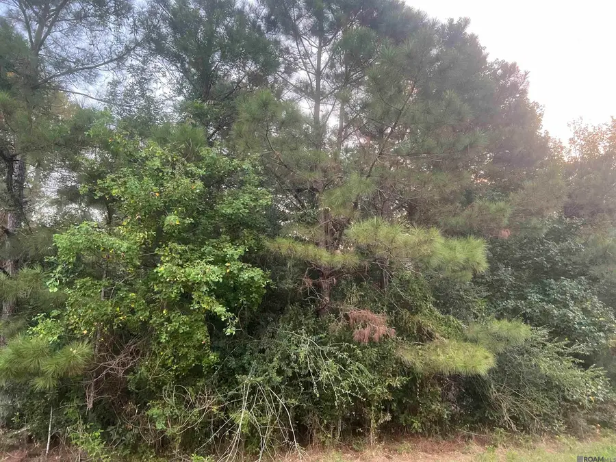 LOT 6-A-2 Hwy 10, Clinton, LA 70722 - #3
