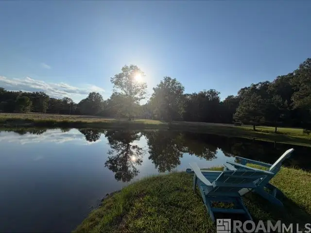 4420 Gilead Rd, Clinton, LA 70722 - #1