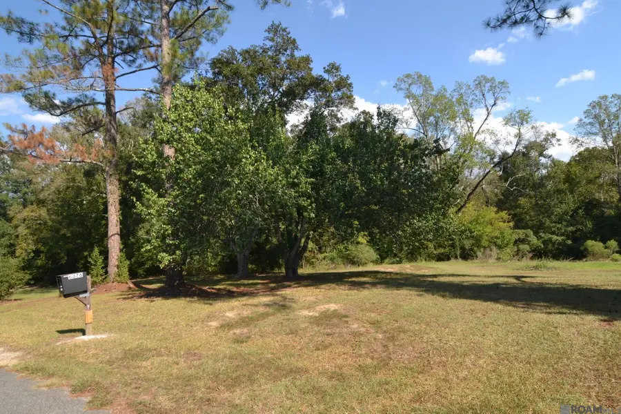 6876 Barrow Hill Dr, Saint Francisville, LA 70775 - #2