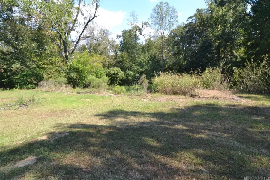6876 Barrow Hill Dr, Saint Francisville, LA 70775 - #3