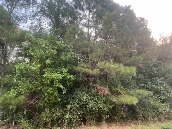 LOT 6-A-4 Hwy 10, Clinton, LA 70722