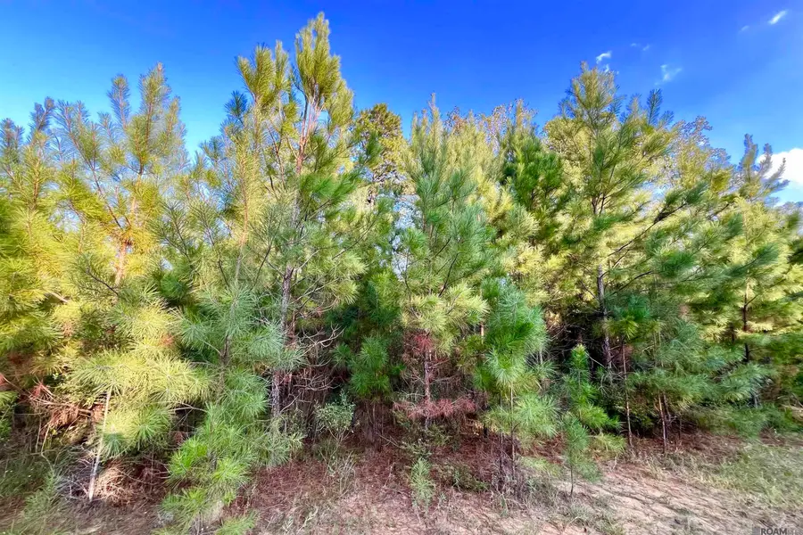02 La Hwy 448, Greensburg, LA 70441 - #2