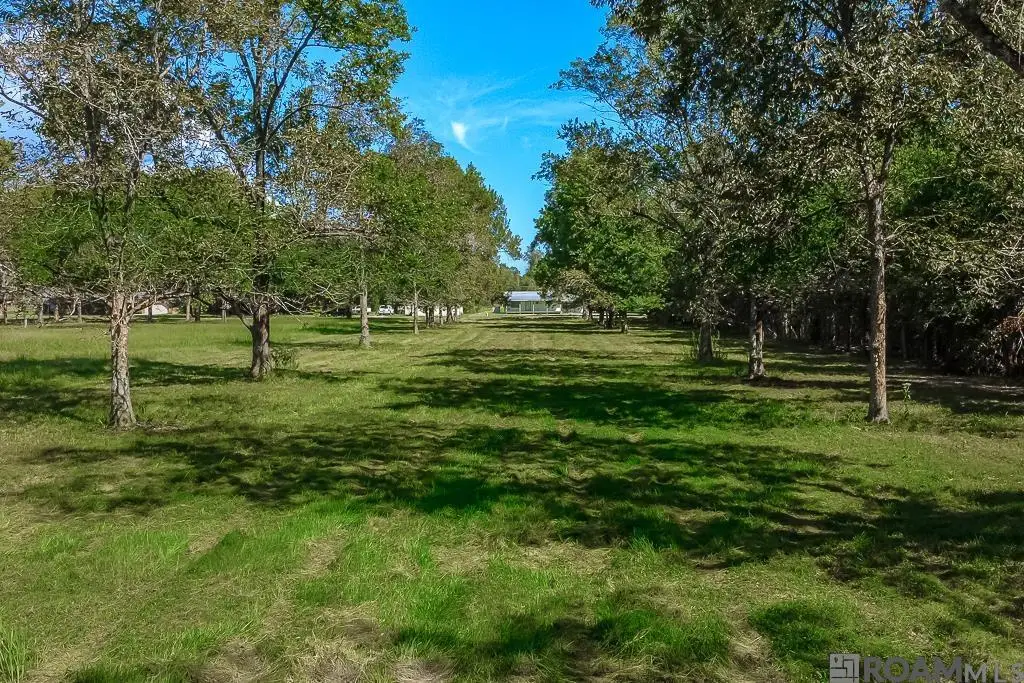 14159 A Poirrier Rd, Gonzales, LA 70737 - #1
