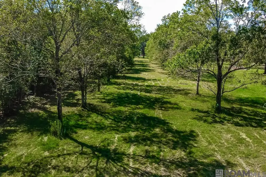 14159 A Poirrier Rd, Gonzales, LA 70737 - #3