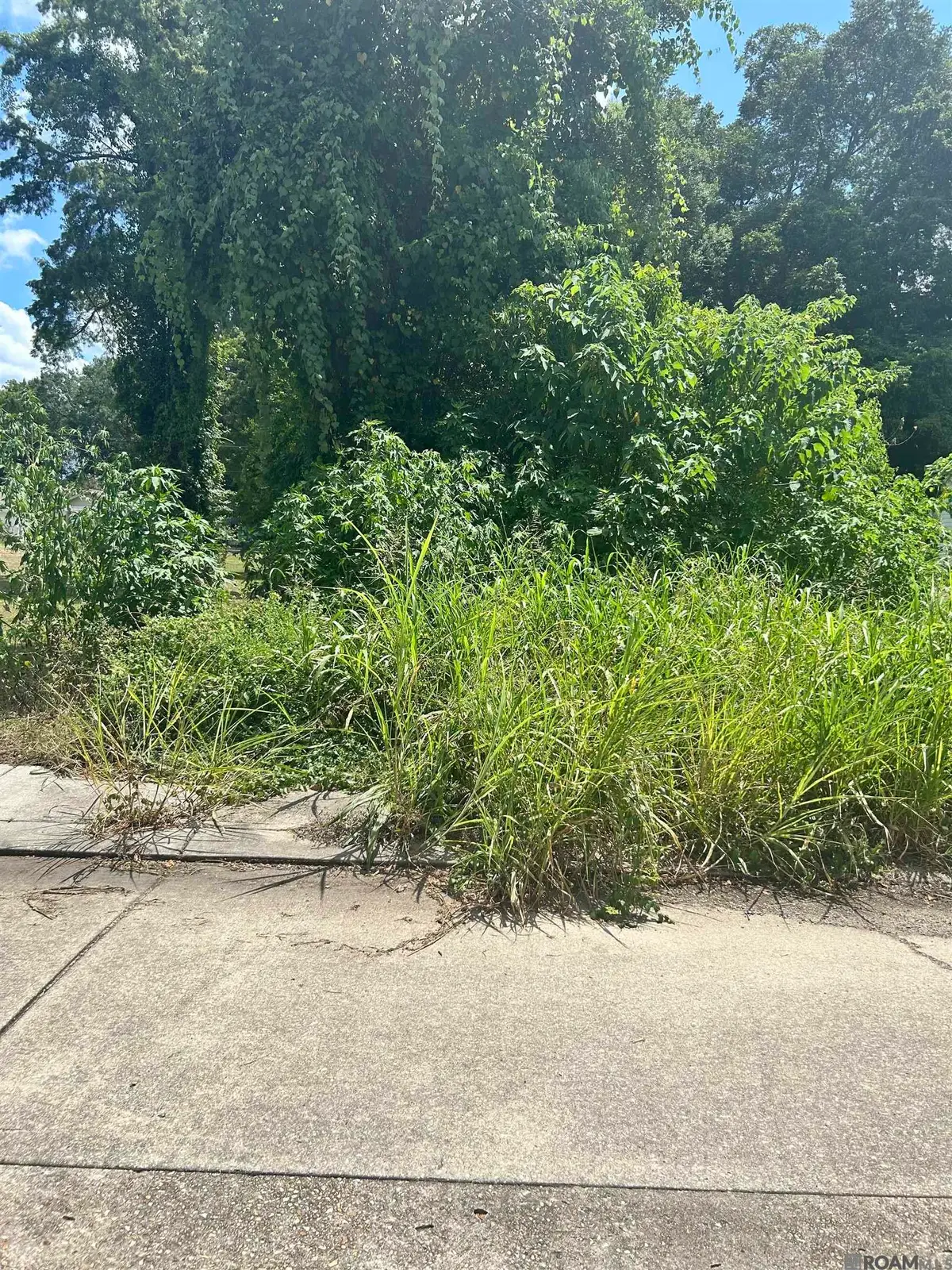 2251 Virginia St, Baton Rouge, LA 70802 - #1