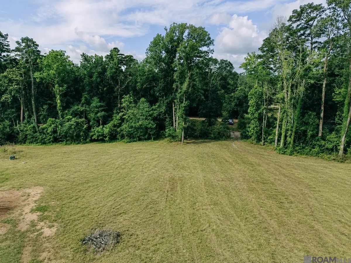 8637 Wildwood Dr, Denham Springs, LA 70706 - #1