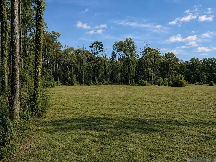 8637 Wildwood Dr, Denham Springs, LA 70706 - #3