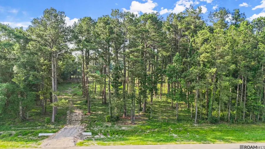 47405 La Hwy 16, Denham Springs, LA 70706 - #3