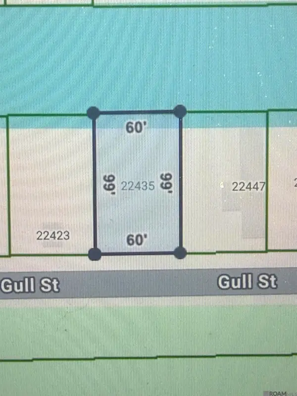 22435 Gull St, Maurepas, LA 70449