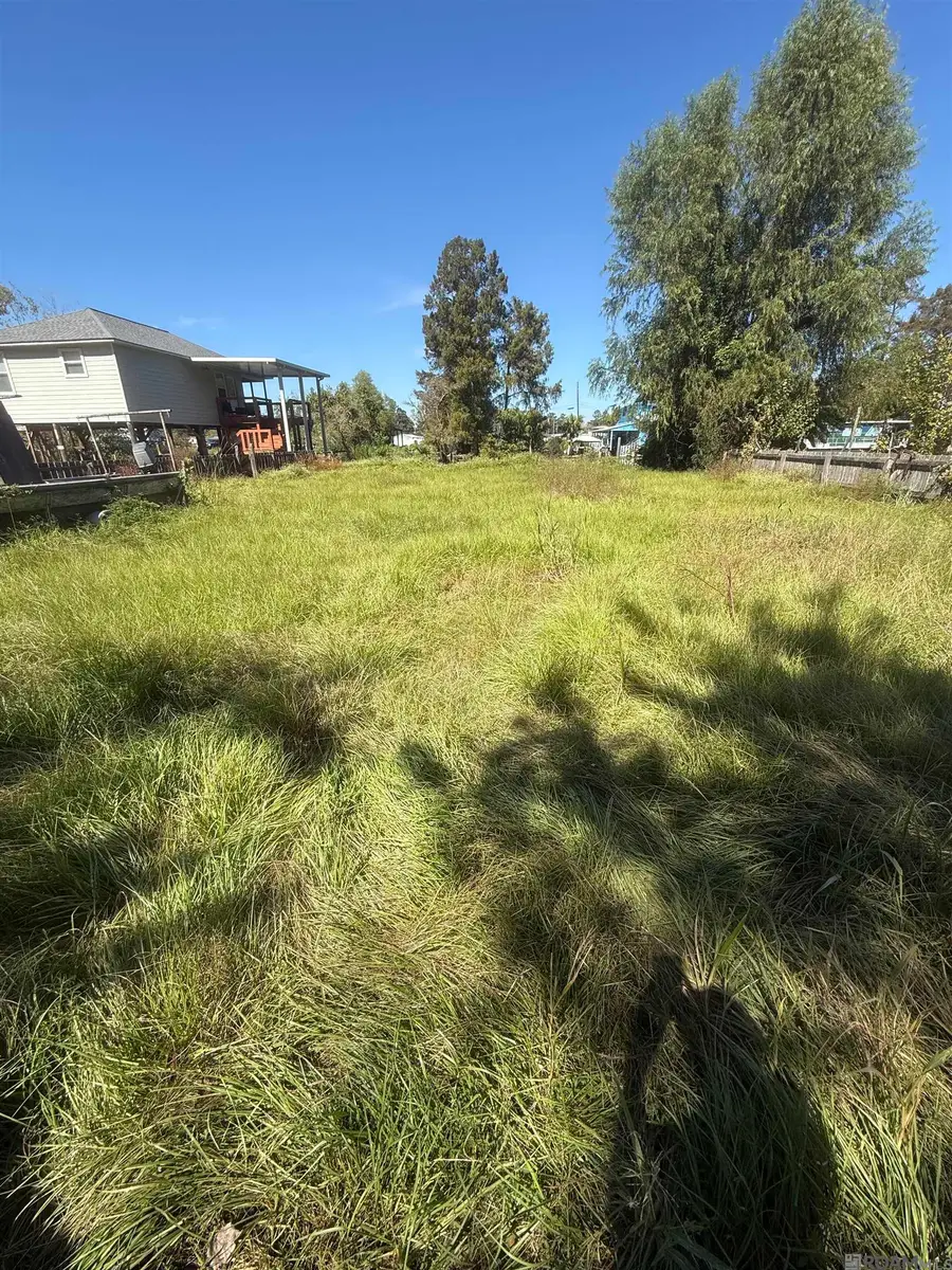 22435 Gull St, Maurepas, LA 70449 - #2