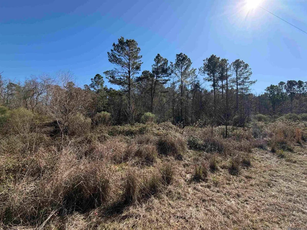 Lot 5-D Texas St, Livingston, LA 70754 - #1