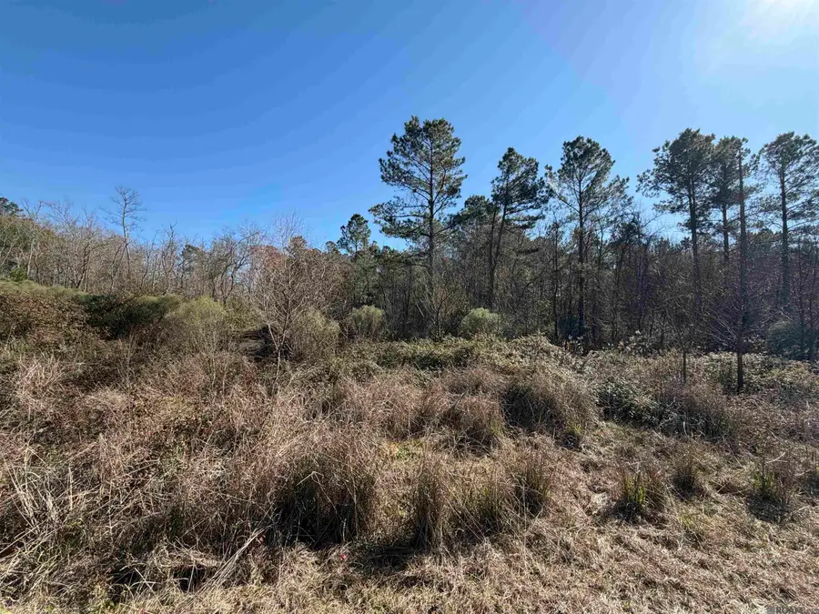 Lot 5-D Texas St, Livingston, LA 70754 - #3
