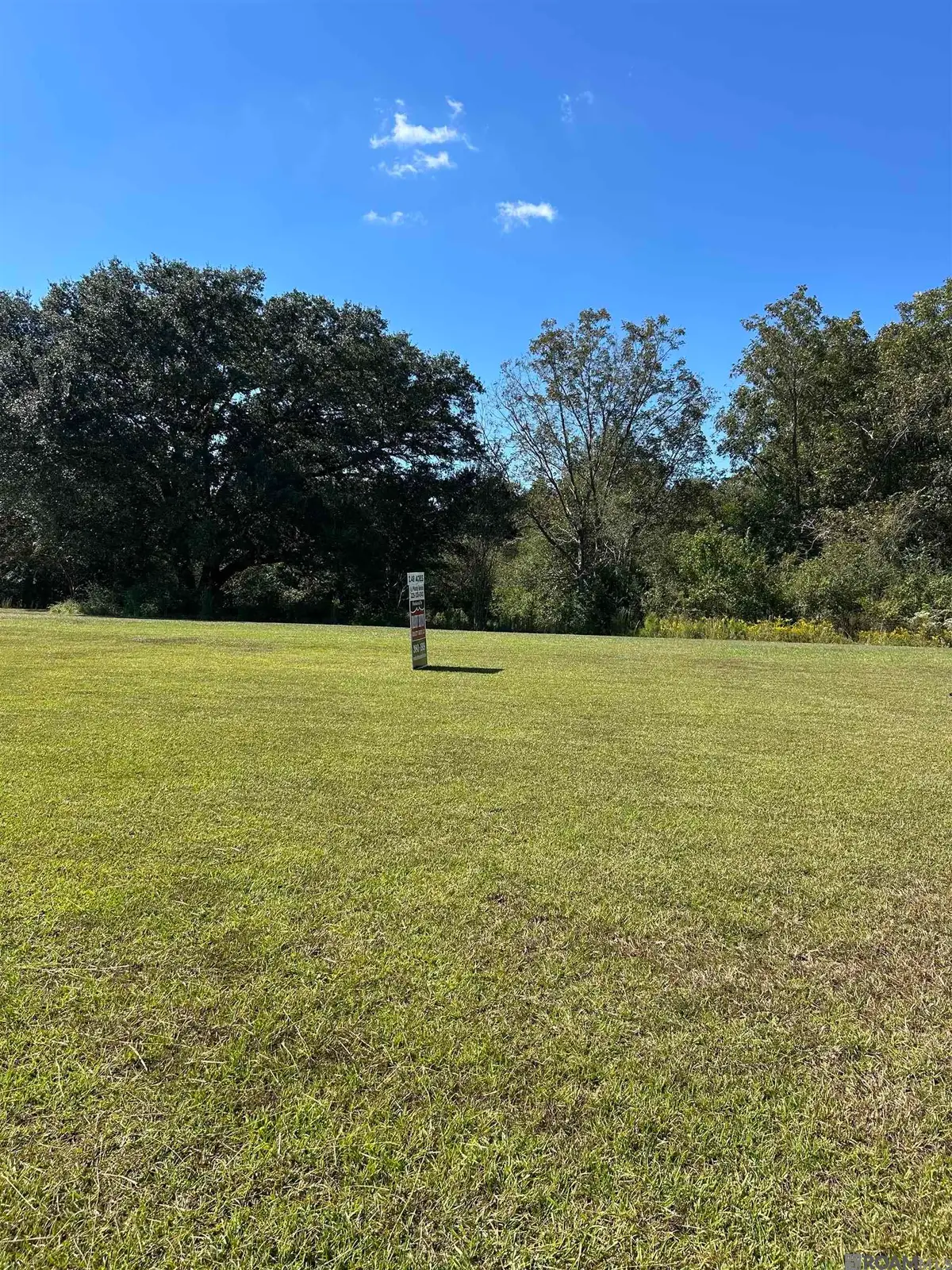 TBD La Hwy 16, Denham Springs, LA 70706 - #1
