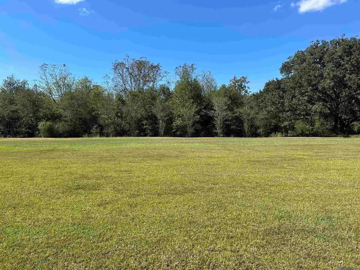 TBD La Hwy 16, Denham Springs, LA 70706 - #1