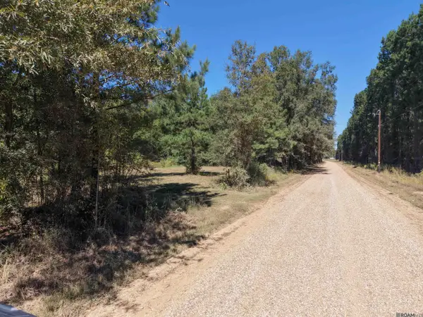 Tract 3 Leonard Chapel Rd, Independence, LA 70443