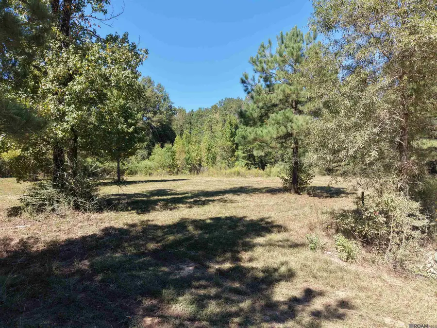 Tract 3 Leonard Chapel Rd, Independence, LA 70443 - #2