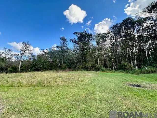 19348 Plantation Trace Dr, Livingston, LA 70754 - #1