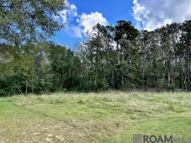 19348 Plantation Trace Dr, Livingston, LA 70754 - #3