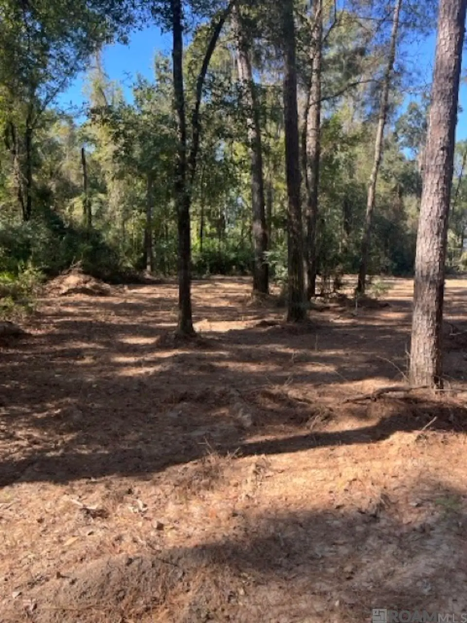 J.h. Jenkins Ln, Denham Springs, LA 70706 - #1