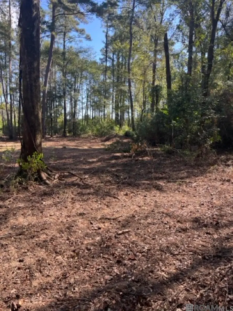 J.h. Jenkins Ln, Denham Springs, LA 70706 - #2