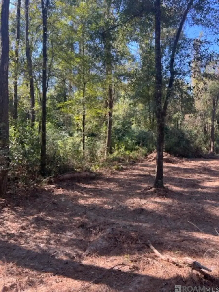 J.h. Jenkins Ln, Denham Springs, LA 70706 - #3