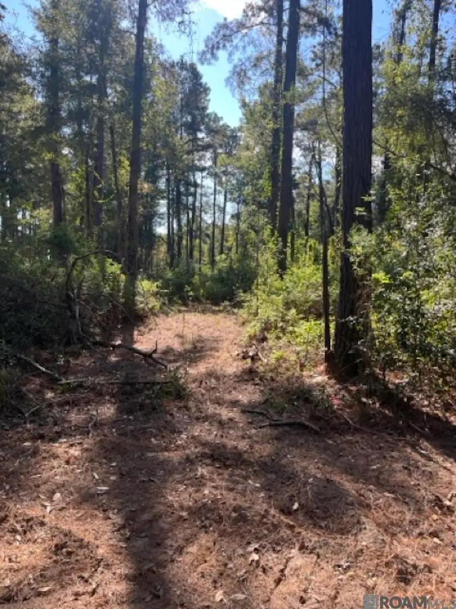J.h. Jenkins Ln, Denham Springs, LA 70706 - #3