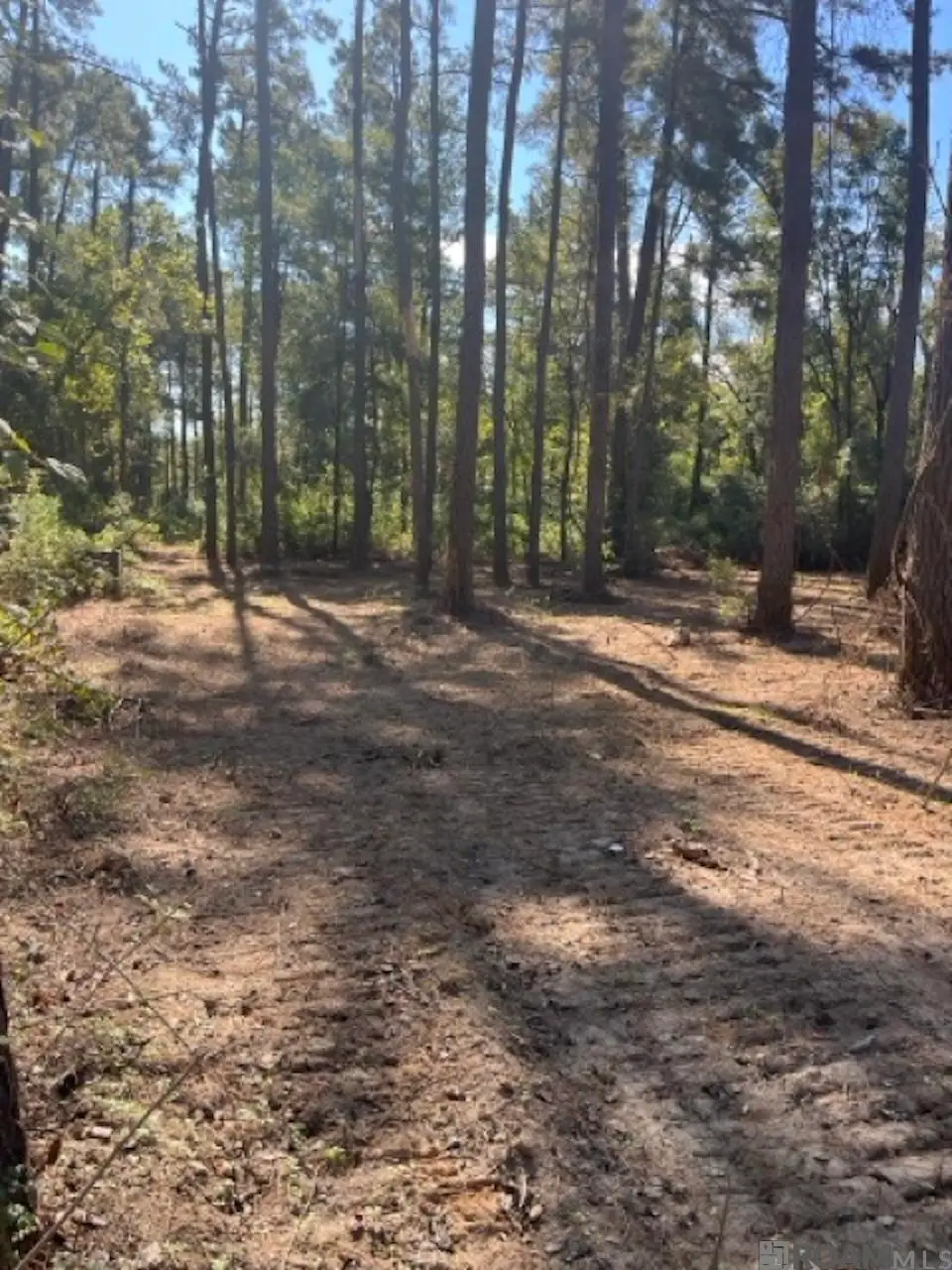 J.h. Jenkins Ln, Denham Springs, LA 70706 - #1
