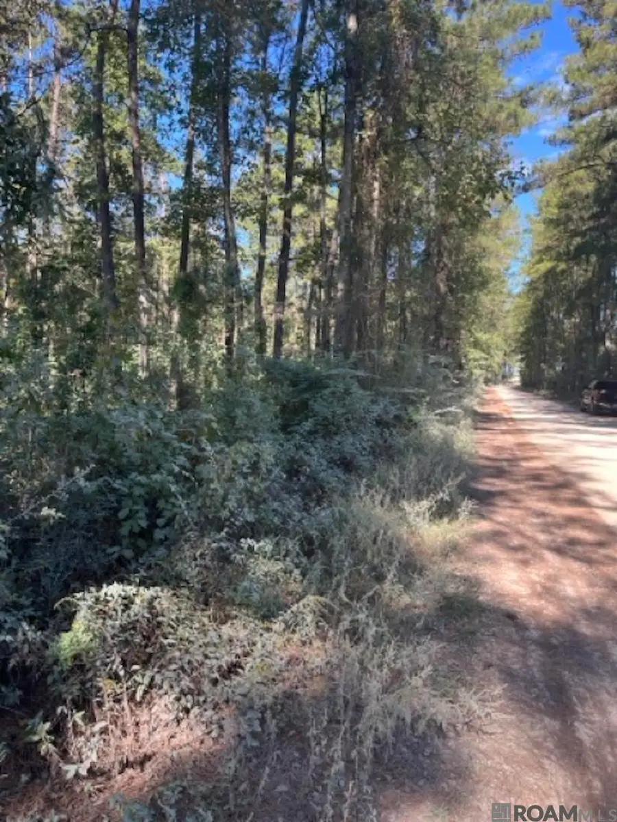 J.h. Jenkins Ln, Denham Springs, LA 70706 - #2