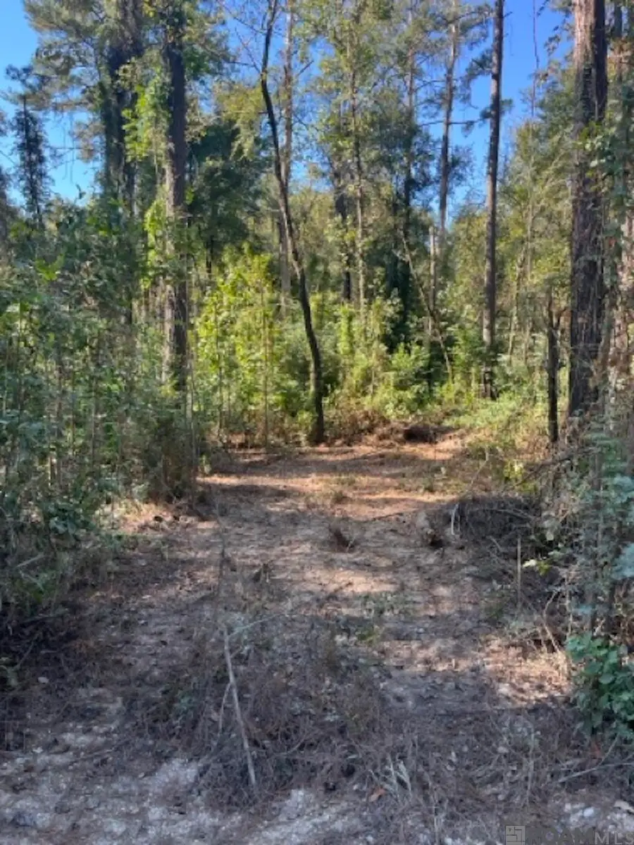 J.h. Jenkins Ln, Denham Springs, LA 70706 - #3