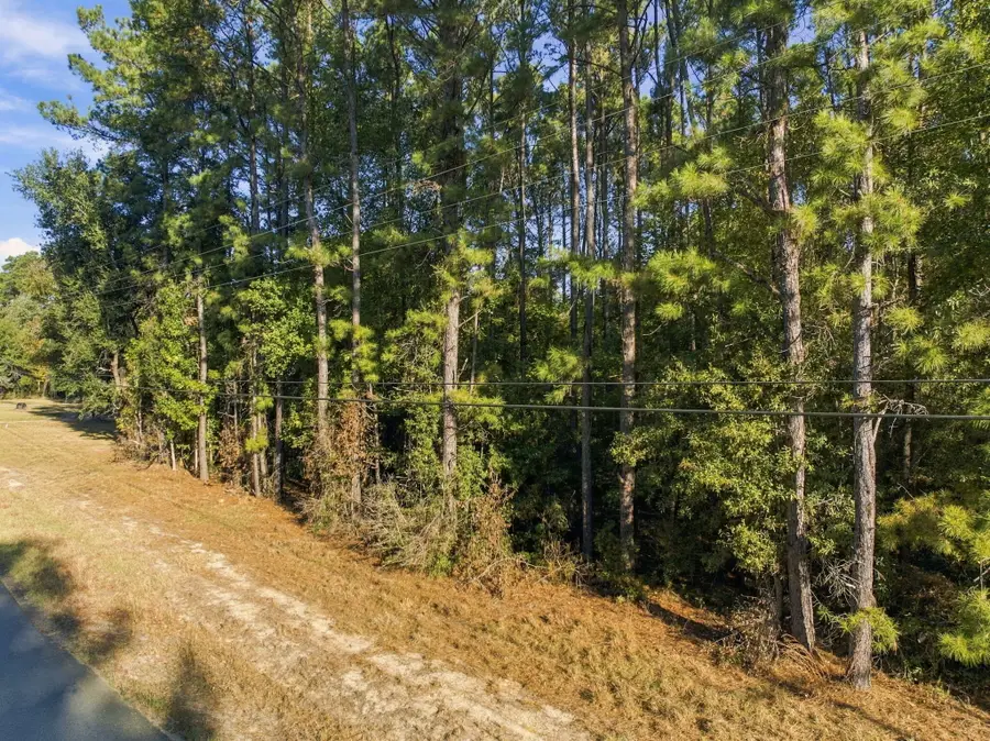 889 Hwy 394, Deridder, LA 70634 - #3