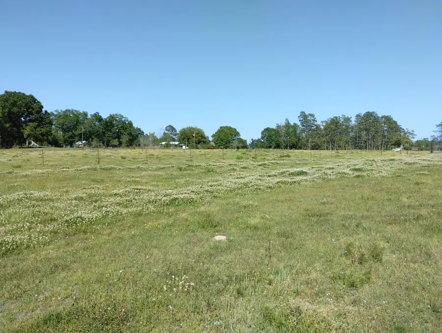 Mitchell Harper Rd, Deridder, LA 70634 - Image #2