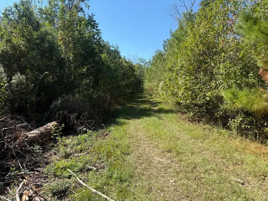 Tbd Scallon Rd., Deridder, LA 70634 - Image #2