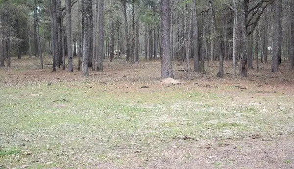 Sugar Bend Road, Pitkin, LA 70656