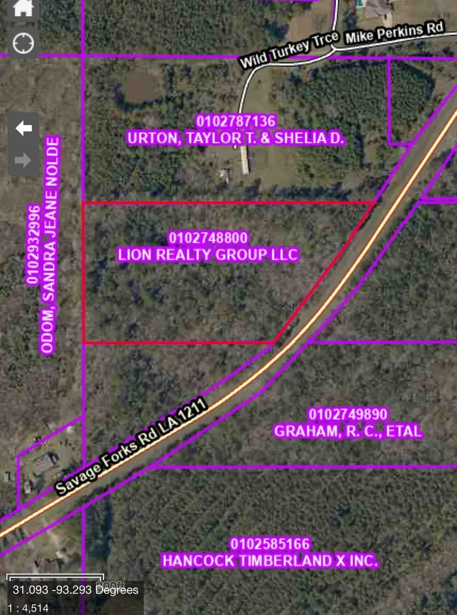 Savage Forks Tract 1, Leesville, LA 71446 - Image #3