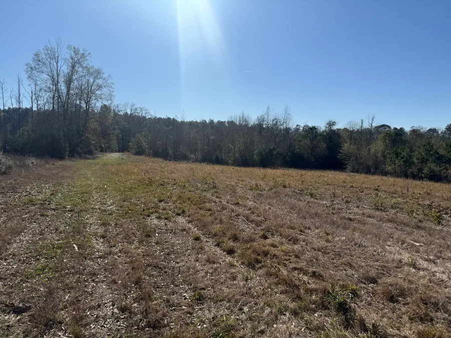 Tbd Hwy 10, Pitkin, LA 70656 - Image #3