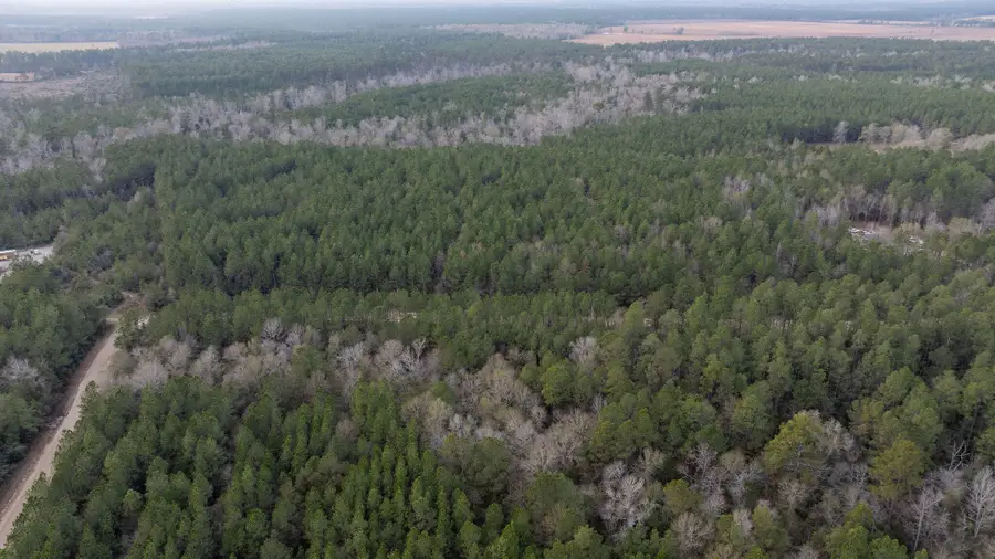 Tbd Phil Cooley Rd, Longville, LA 70652 - #2