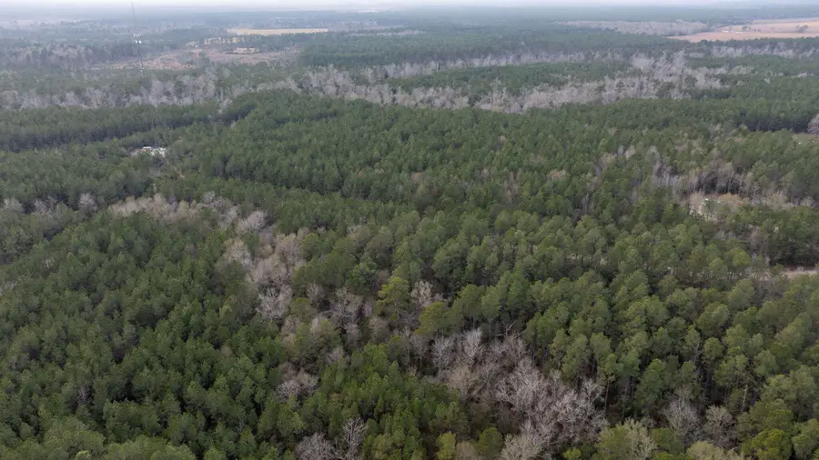 Tbd Phil Cooley Rd, Longville, LA 70652 - #3