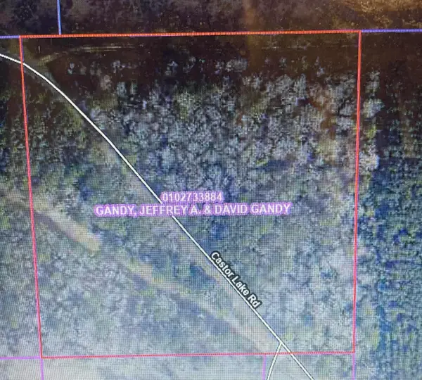 Tbd Castor Lake, Leesville, LA 71446