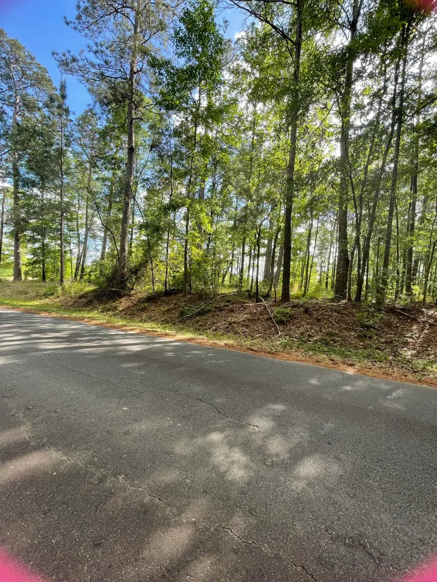 Tbd Castor Lake, Leesville, LA 71446 - #3