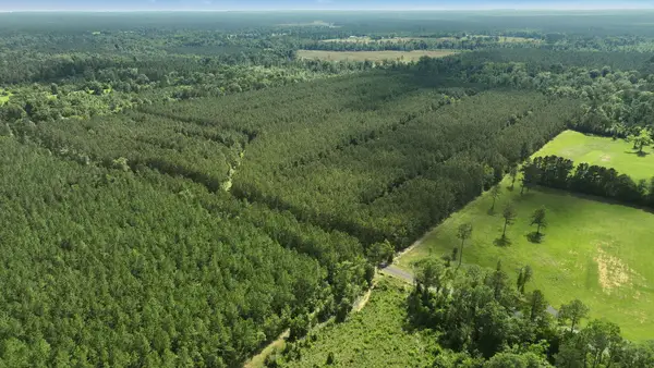 Tbd Tunks Road, Dry Creek, LA 70637