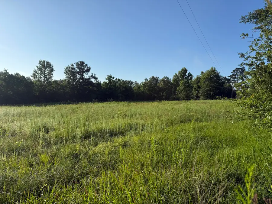 Tbd Vaughn, Deridder, LA 70634 - #2