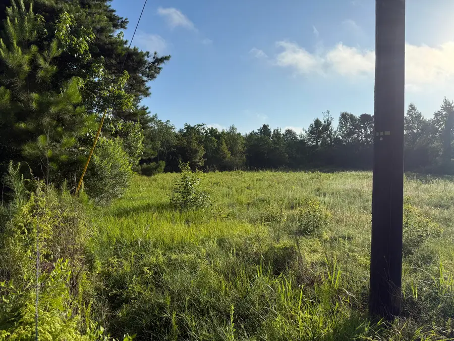 Tbd Vaughn, Deridder, LA 70634 - #3