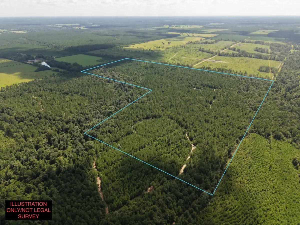 Rutherford Rd, Deridder, LA 70634 - #1